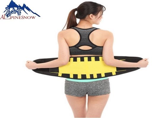CHINA Correia colorida ajustável respirável do apoio da cintura da parte traseira da aptidão do neopreno para o exercício e o esporte fornecedor