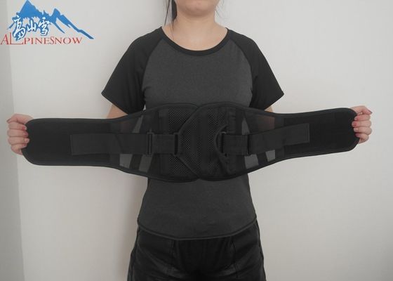 CHINA Várias cores da correia lombar do apoio da parte traseira da cintura da almofada para aliviar a dor lombar fornecedor